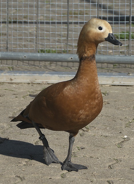 堪称惊险守