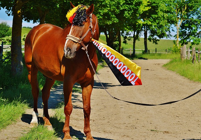 开了绿军的 开了绿军的