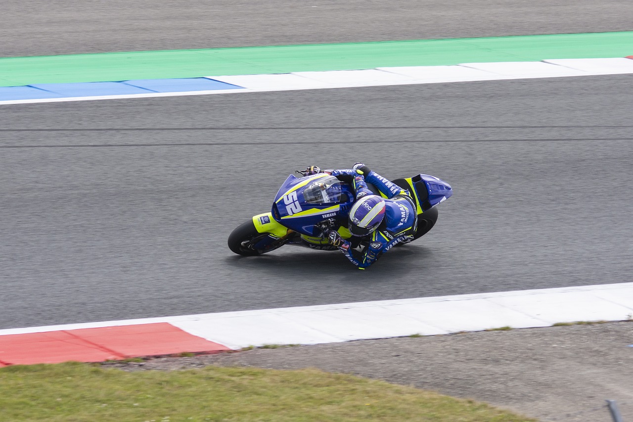 维斯和詹姆 维斯和詹姆