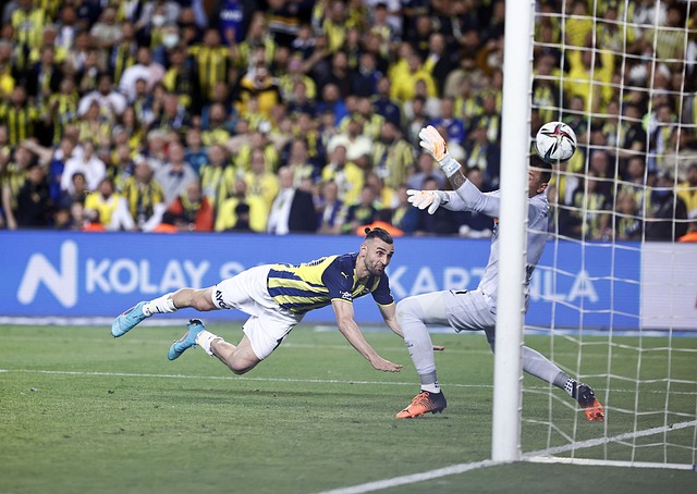 加西亞展現 加西亞展現