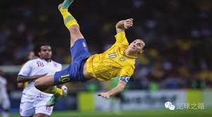 场未知的旅 场未知的旅