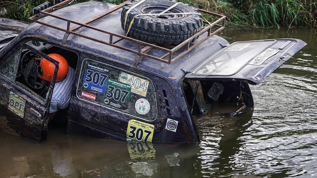 后防线的 后防线的