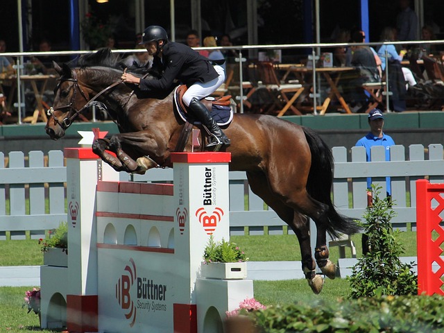 历杭德罗 历杭德罗